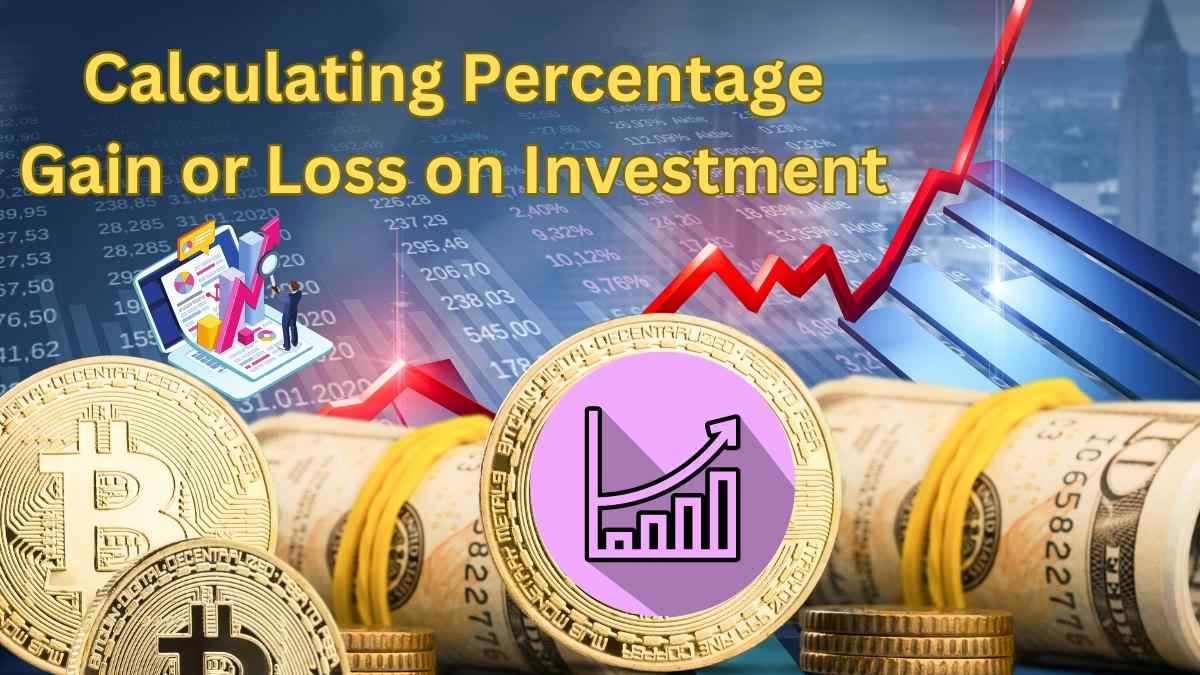 calculating percentage gain or loss on investment